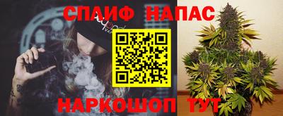 молекула духа Обь