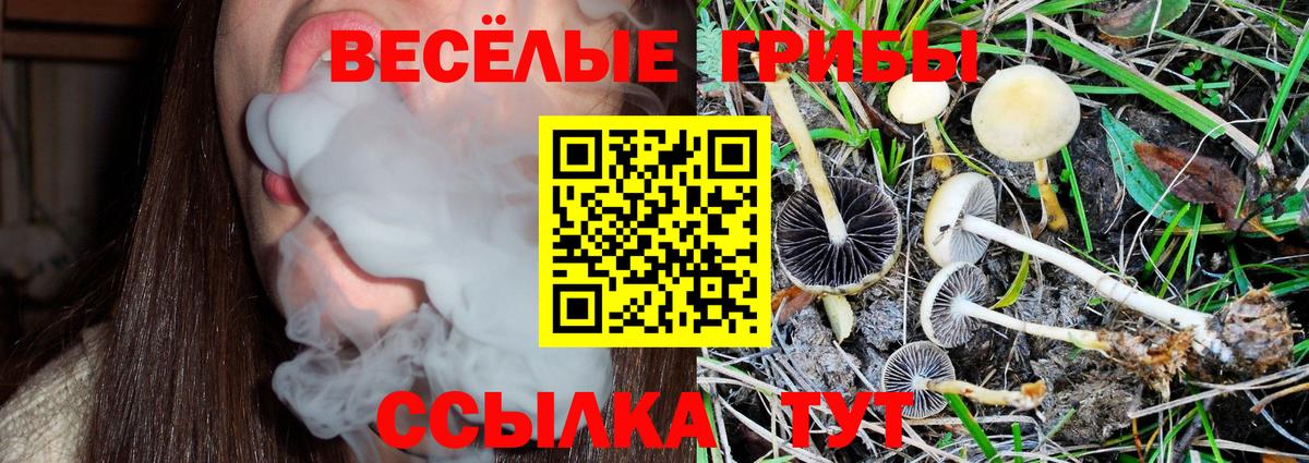 Похвистнево  Галлюциногенные грибы Cubensis  Вход с VPN  Галлюциногенные грибы мухоморы 